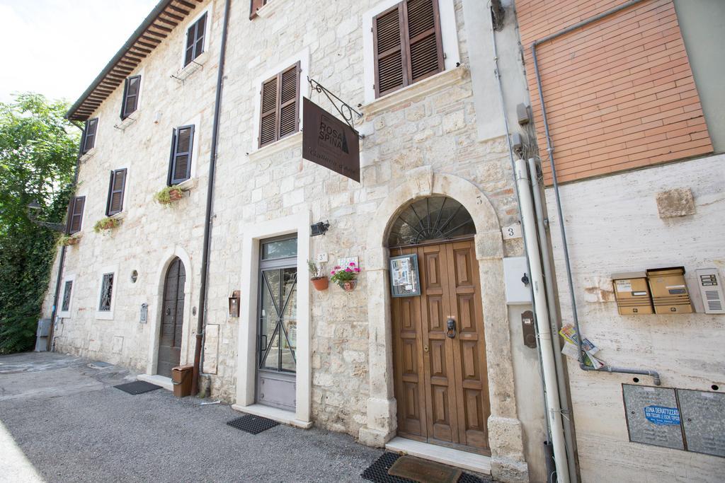 B&B Rosaspina Ascoli Piceno Esterno foto